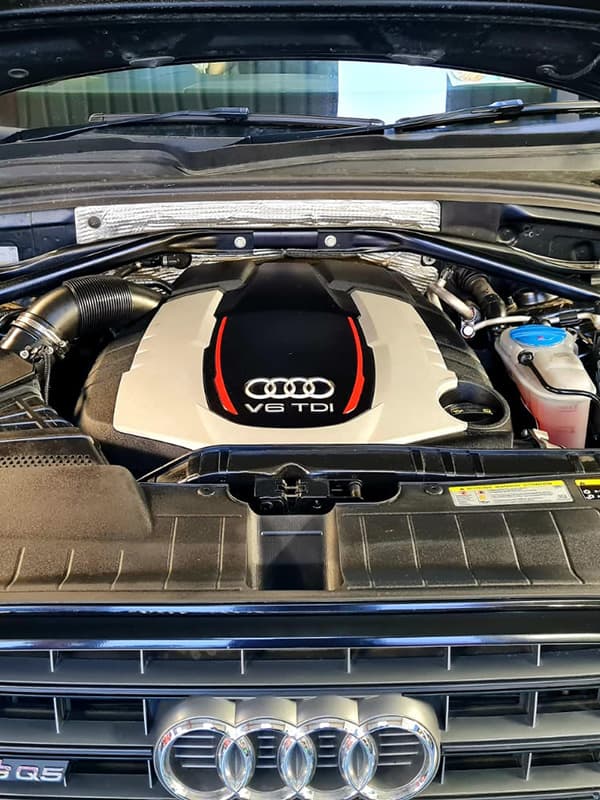 The engine bay of an Audi Q5 V6 TDI at Jack Newman Auto Services
